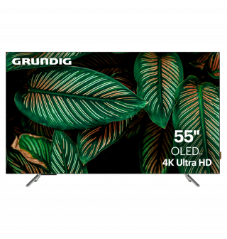 Телевизор OLED
 Grundig 55 OLED GH 9500